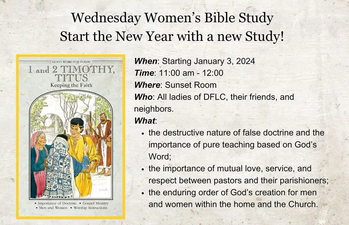 Womens Bible Study 2024 flyer