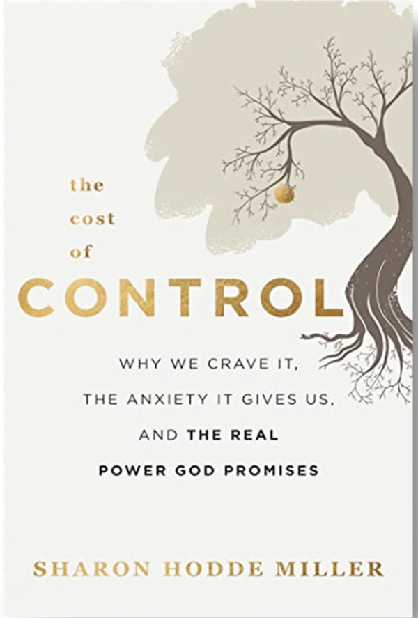 the cost of control book cover