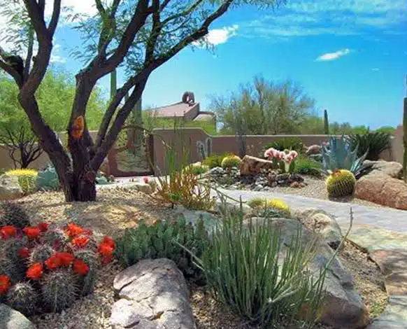 overview of memorial garden